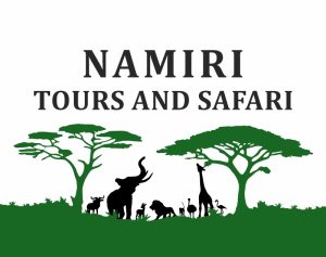 Namiritours-Logo-